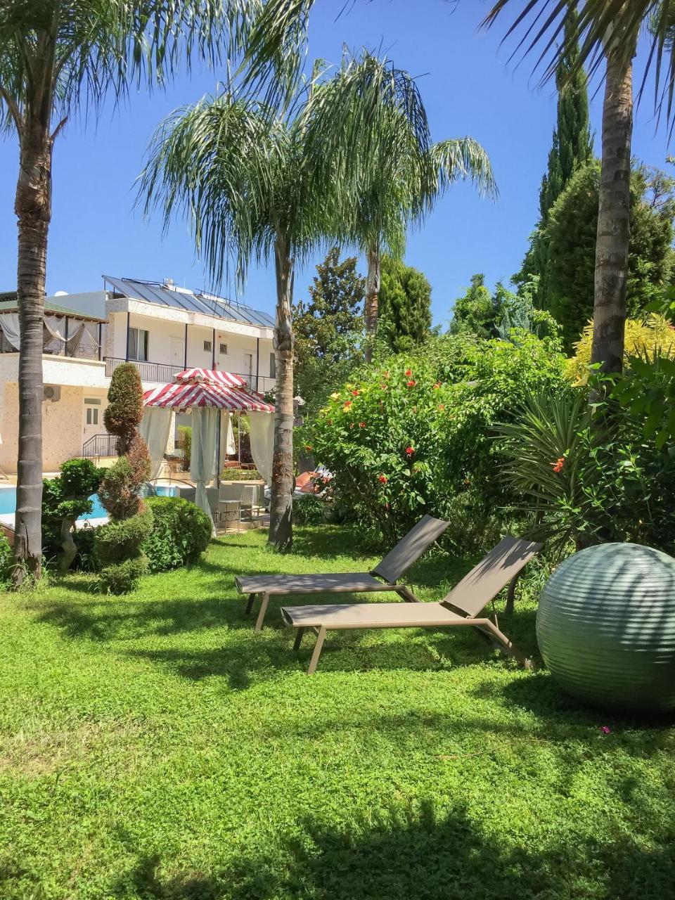 كمر Sofia Residence المظهر الخارجي الصورة